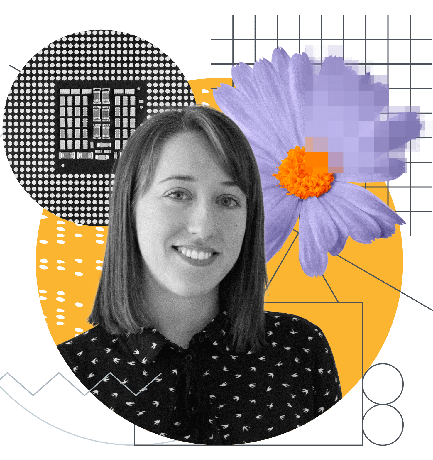 Odoo • Image and Text